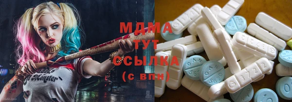 гашик Карпинск