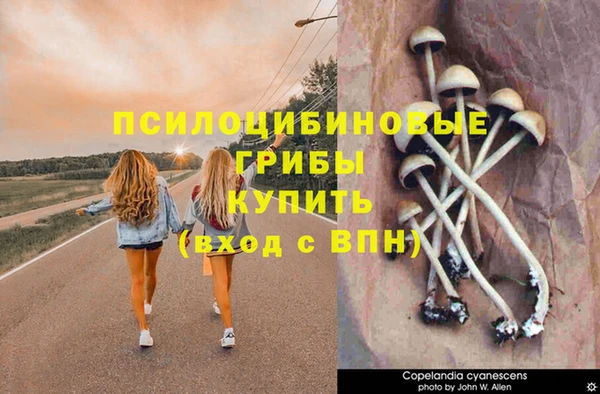 амф Касимов