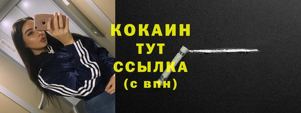 амф Касимов