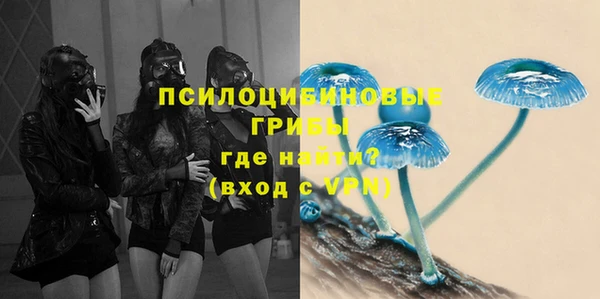 прущие грибы Карталы