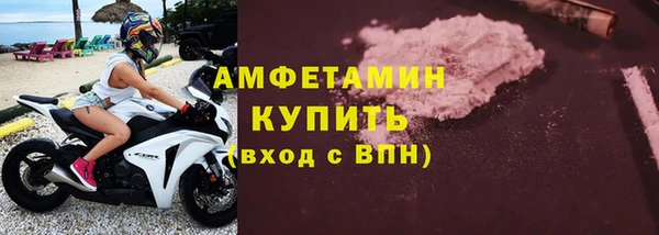 прущие грибы Карталы
