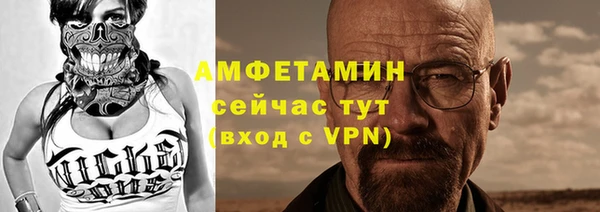 прущие грибы Карталы