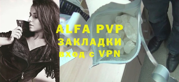 гашик Карпинск