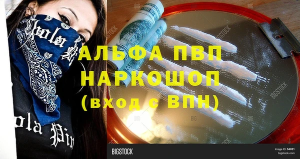 прущие грибы Карталы