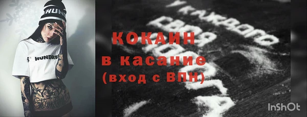 гашик Карпинск