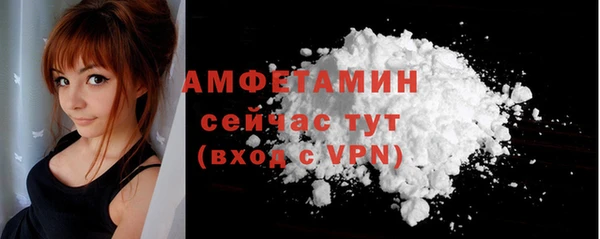 гашик Карпинск