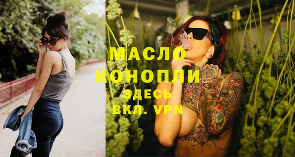 гашик Карпинск