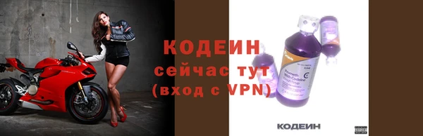гашик Карпинск