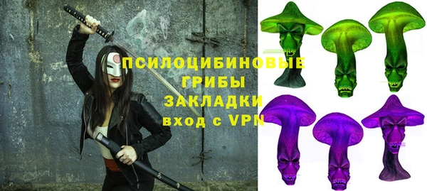 гашик Карпинск