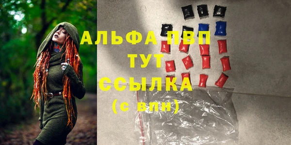 прущие грибы Карталы