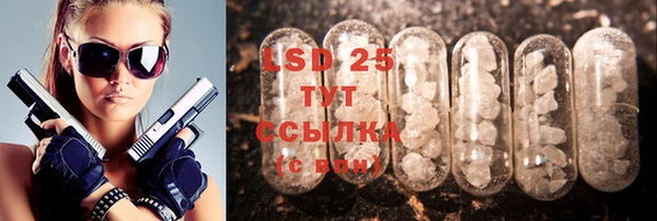 прущие грибы Карталы