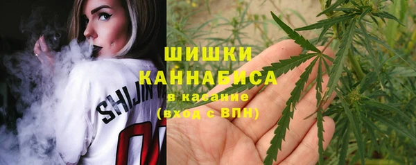 гашик Карпинск