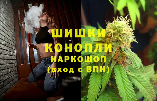 гашик Карпинск