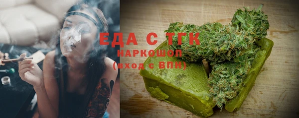 гашик Карпинск